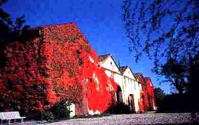 The winery in its autumn colors